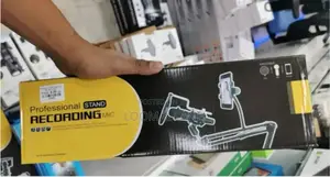 Professional Recording Stand Microphone