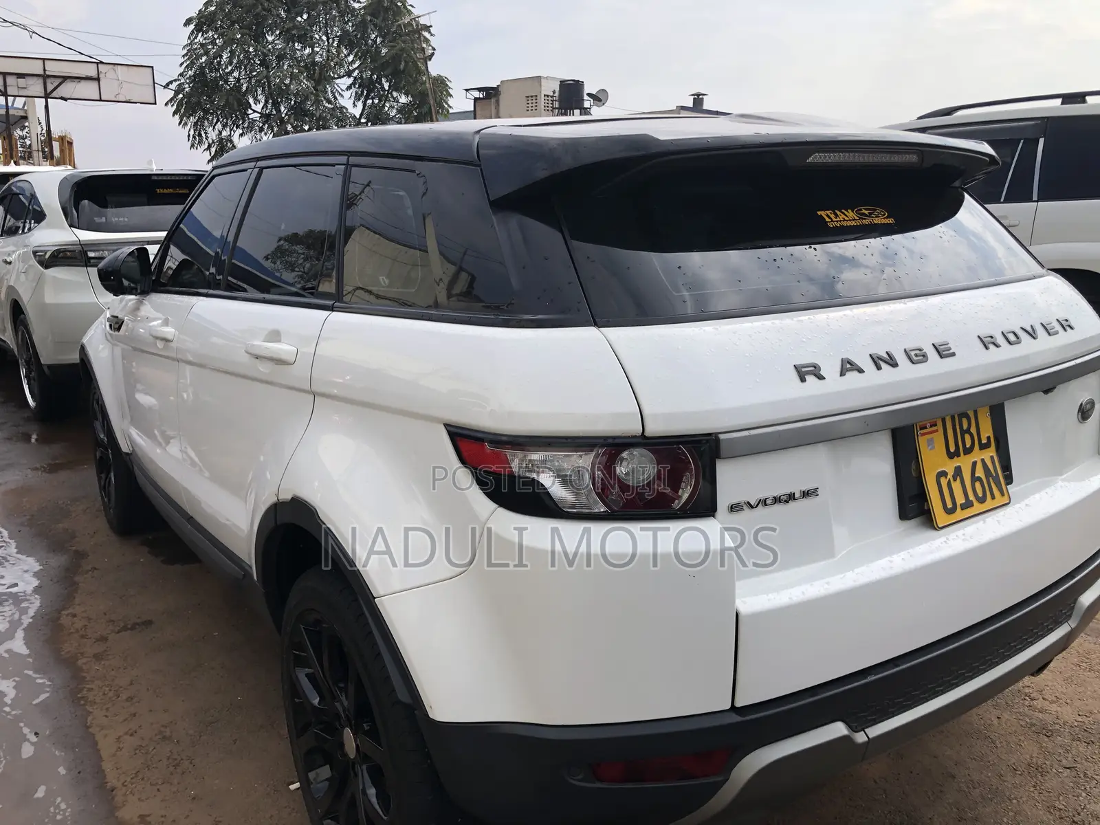 Land Rover Range Rover 2017 White