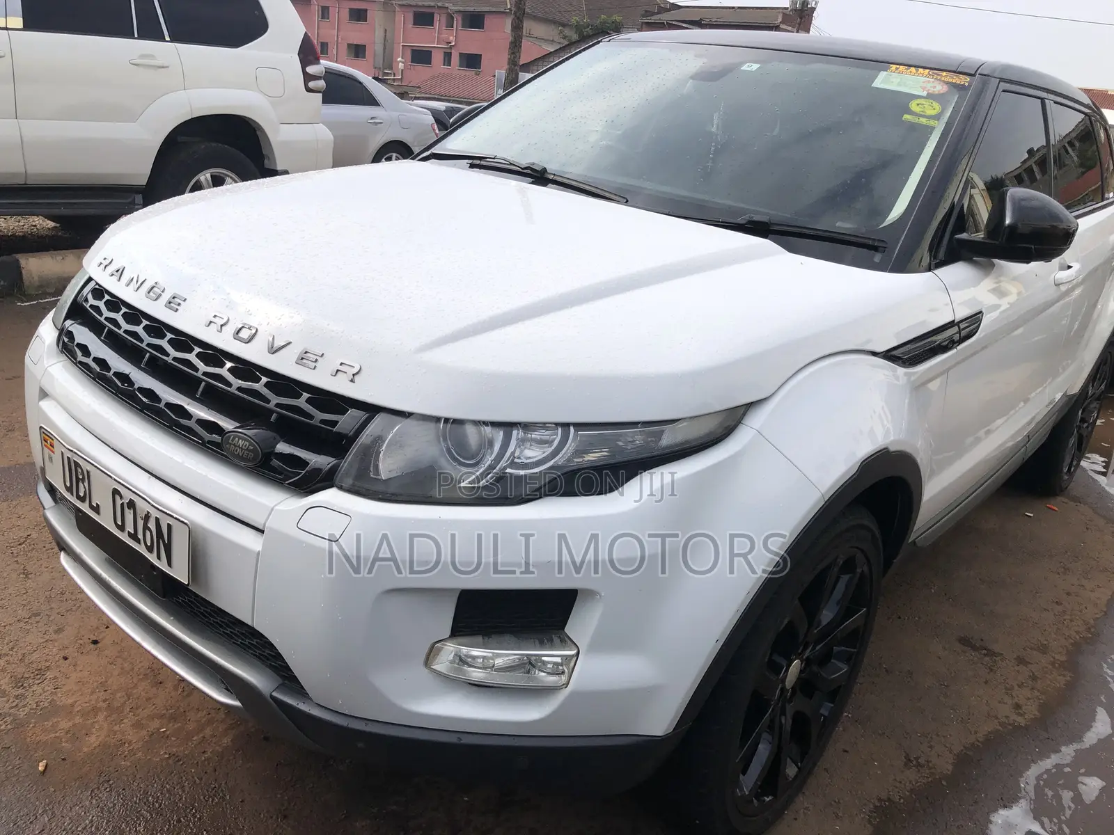 Land Rover Range Rover 2017 White