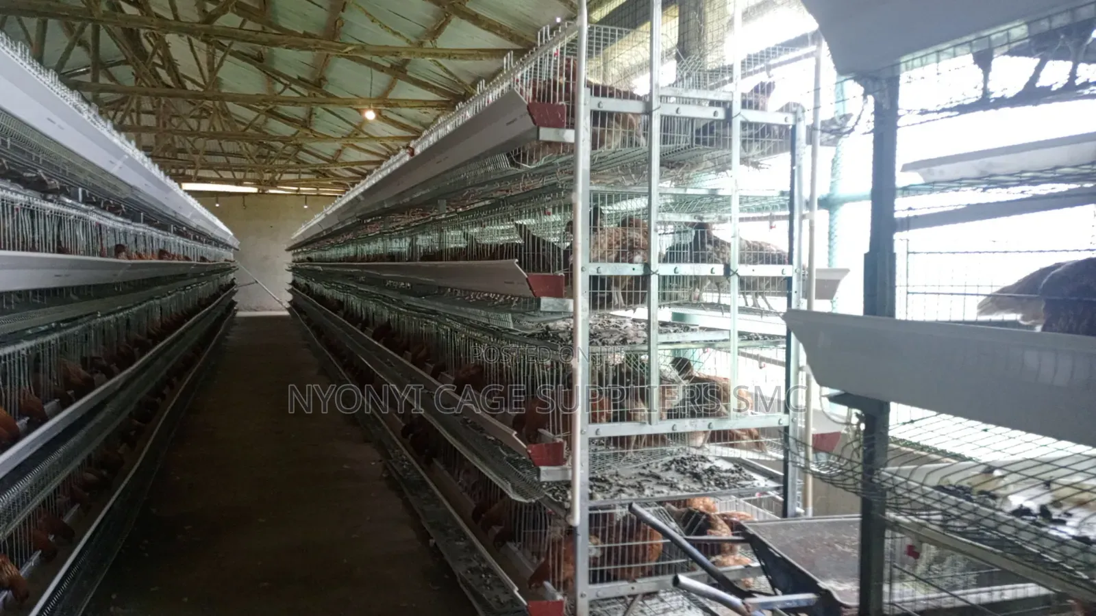 H Type Cages