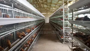 H Type Cages