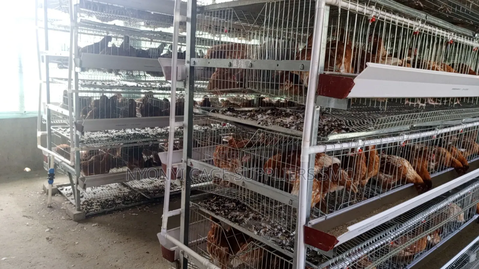 H Type Cages