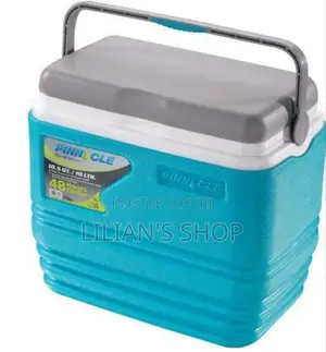 Pinnacle 10L Ice Cooler Box