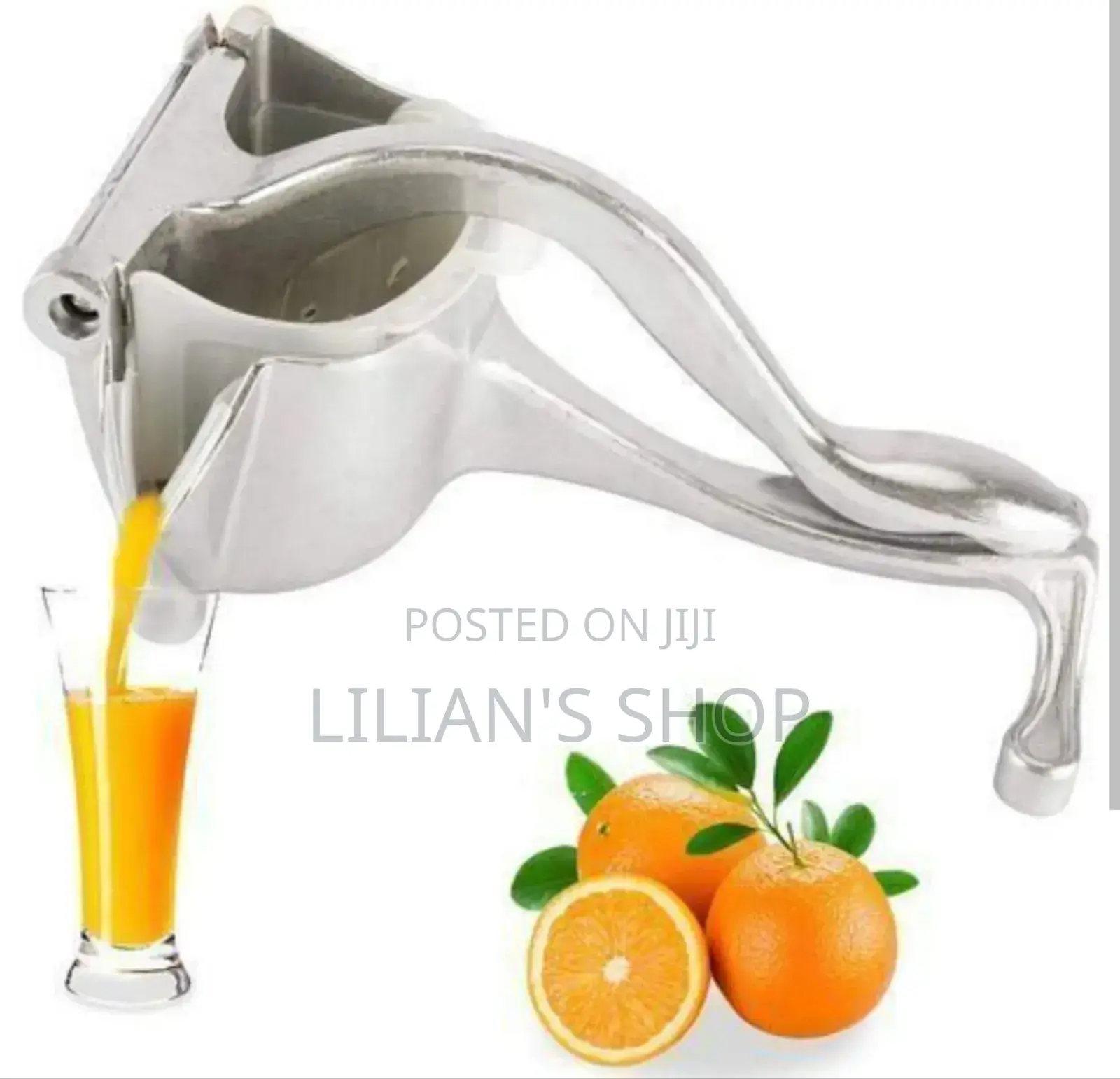 Manual Fruit Press