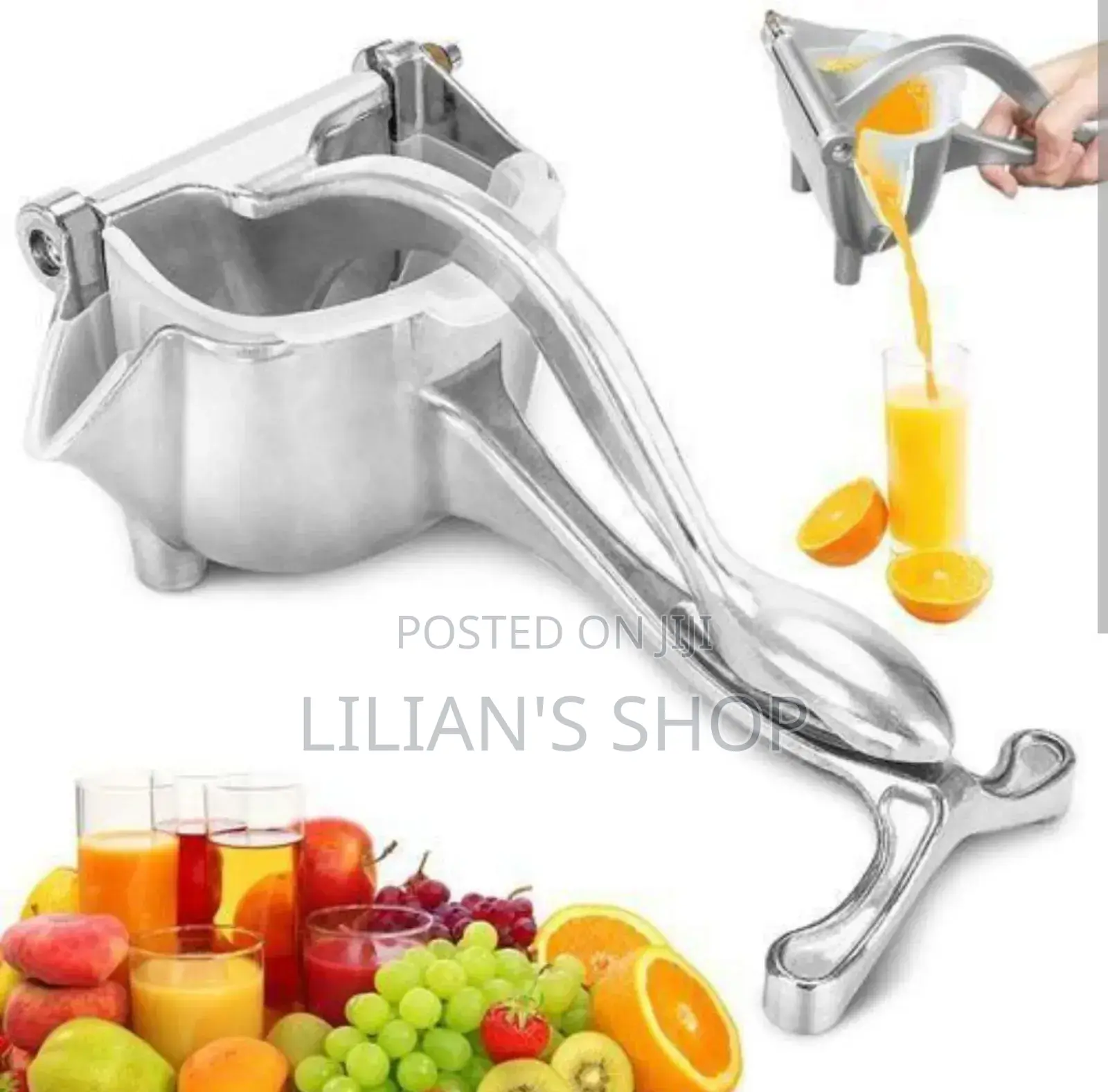 Manual Fruit Press
