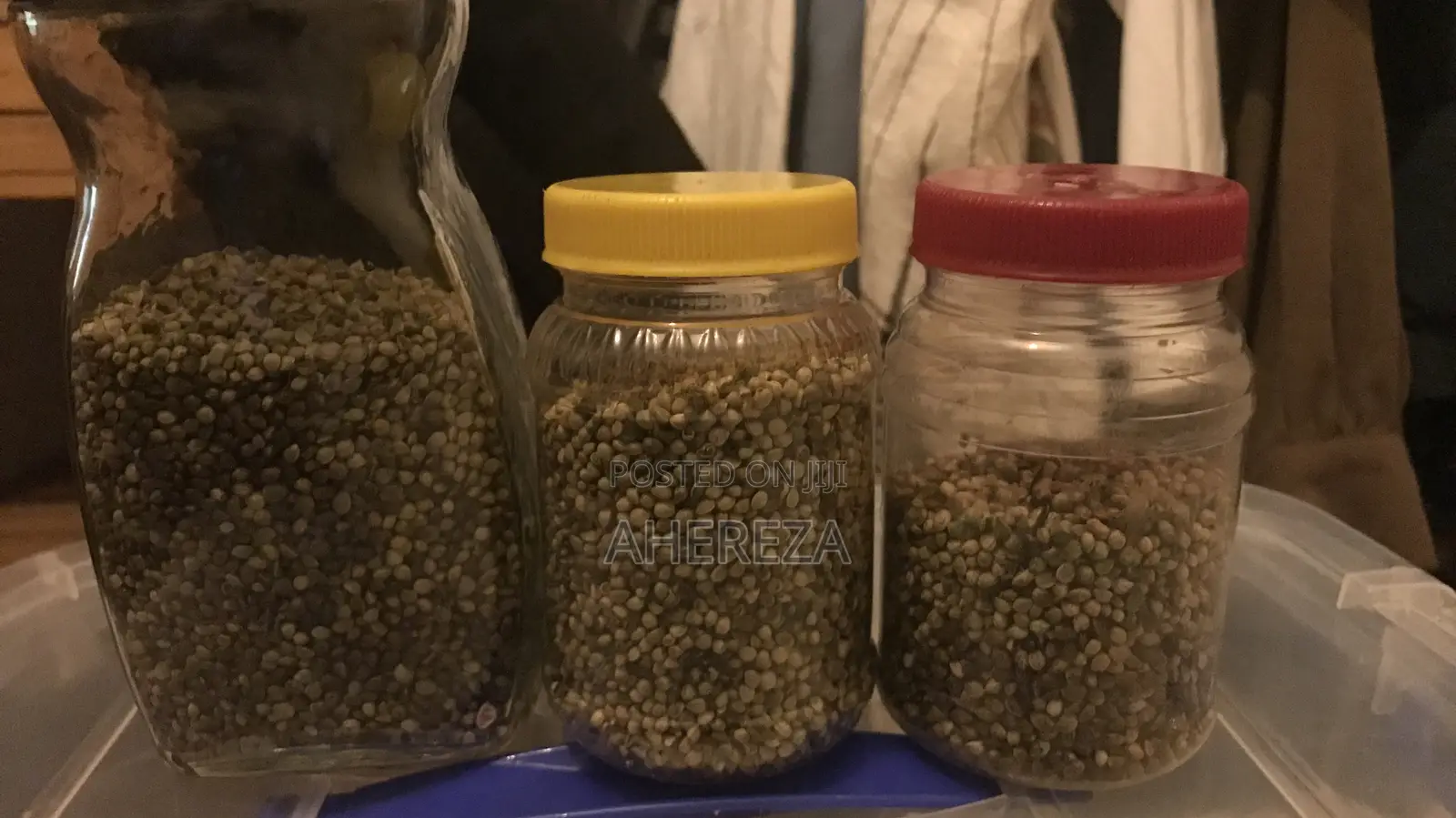 Herb Seeds Thc And Cbd’S