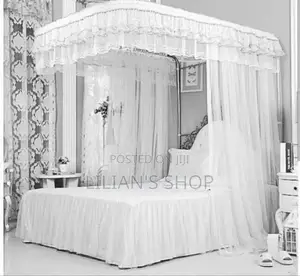 Adjustable 2 Stand Mosquito Net
