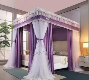 Double Layers Mosquito Net With Curtain