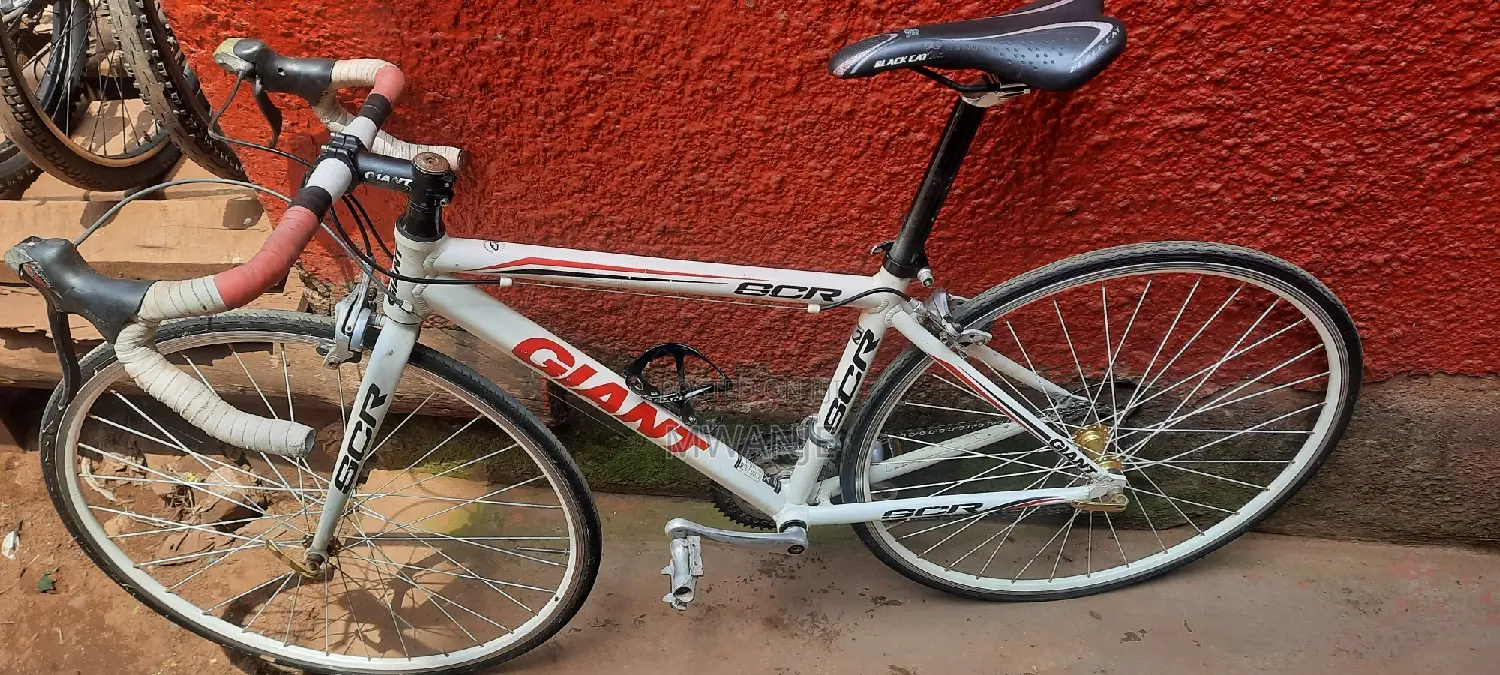 Mountain Bike Nice