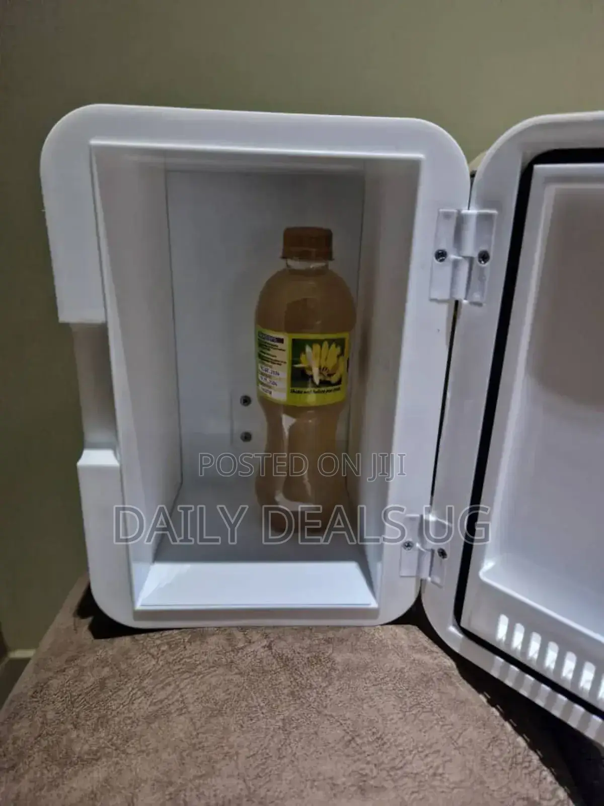 Mini Portable Fridge