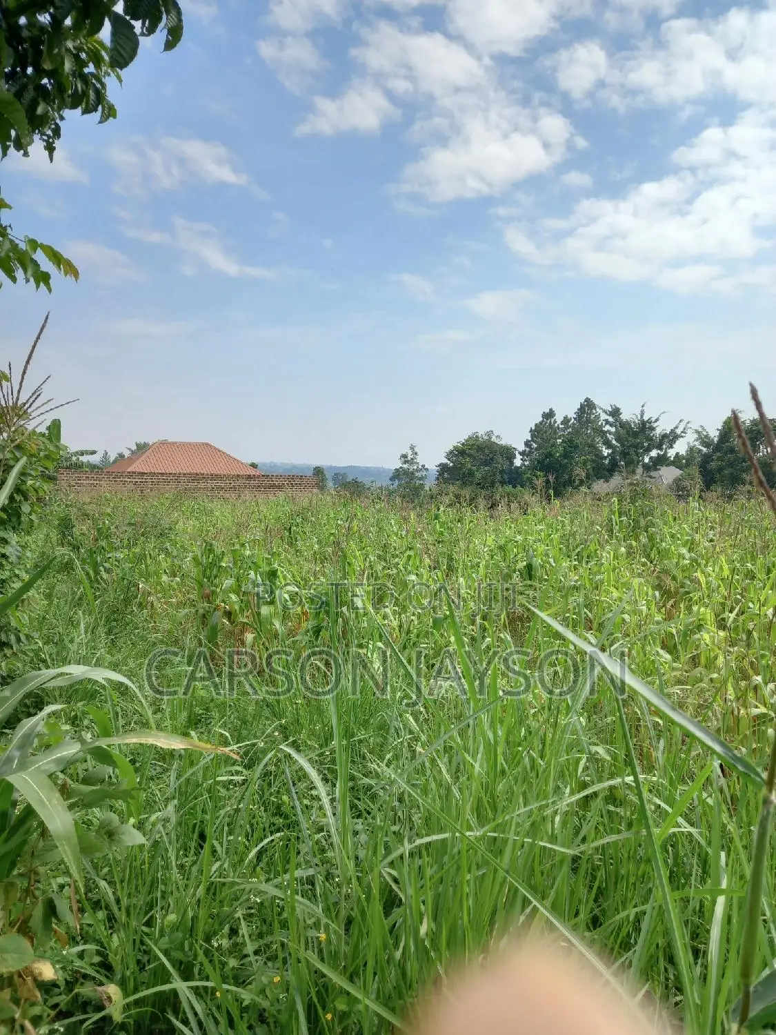 Plot For Sale In Busiika