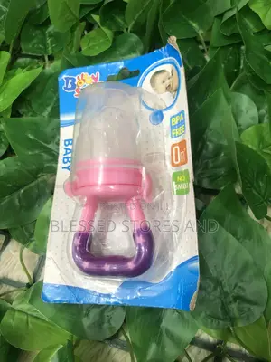 Babies Fruit Feeder