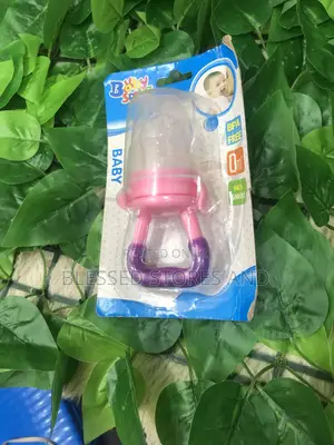 Babies Fruit Feeder