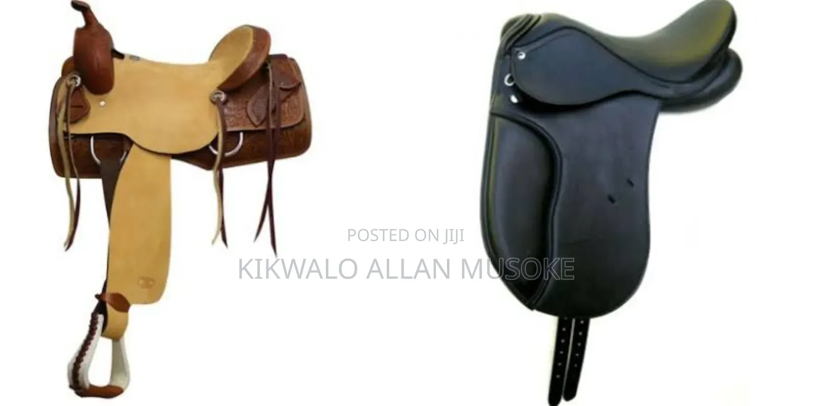 Equestrian Horse Gadgets