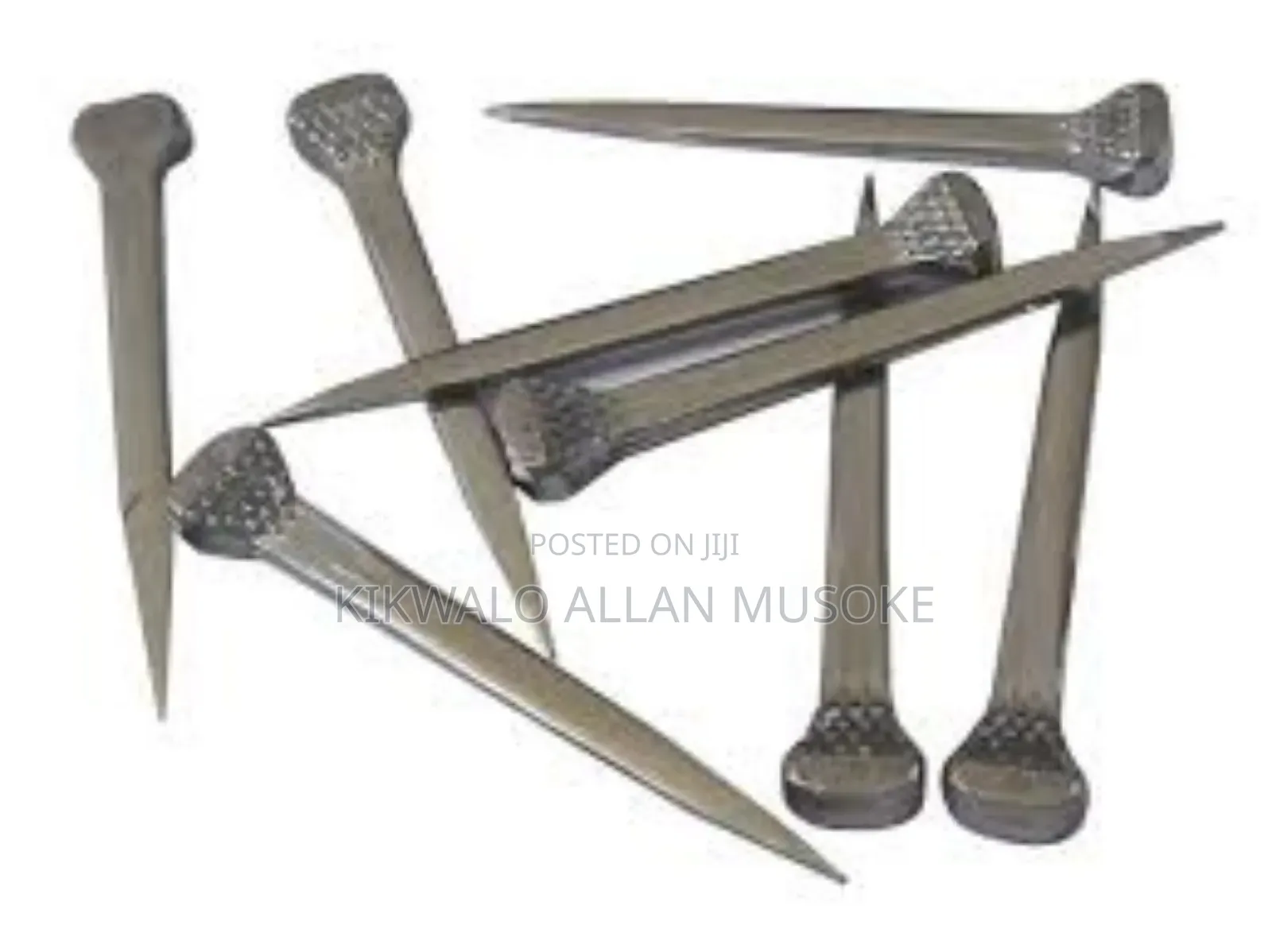 Equestrian Horse Gadgets