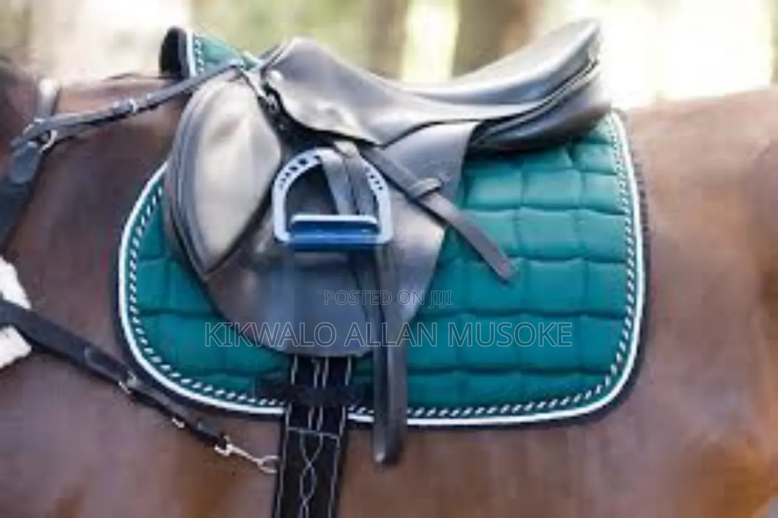 Equestrian Horse Gadgets