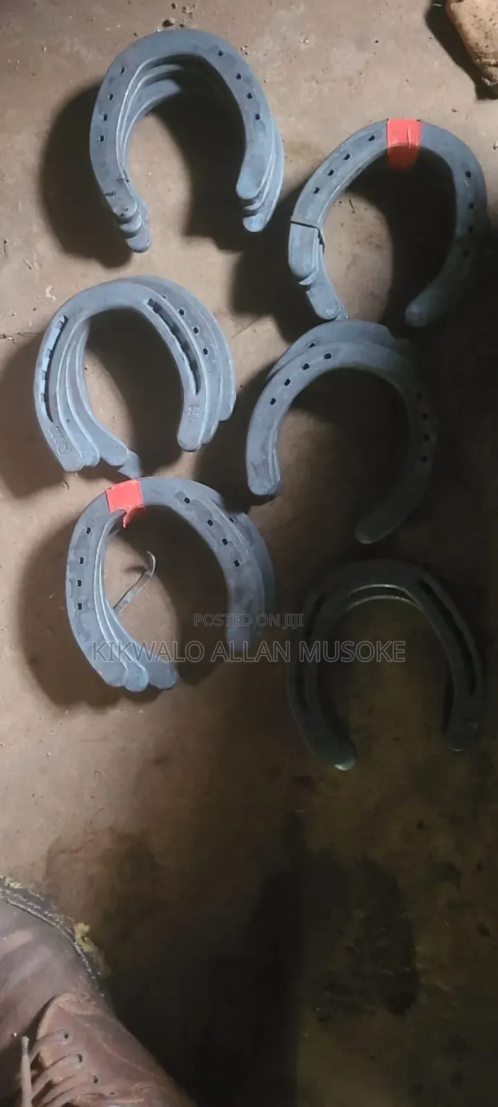 Equestrian Horse Gadgets