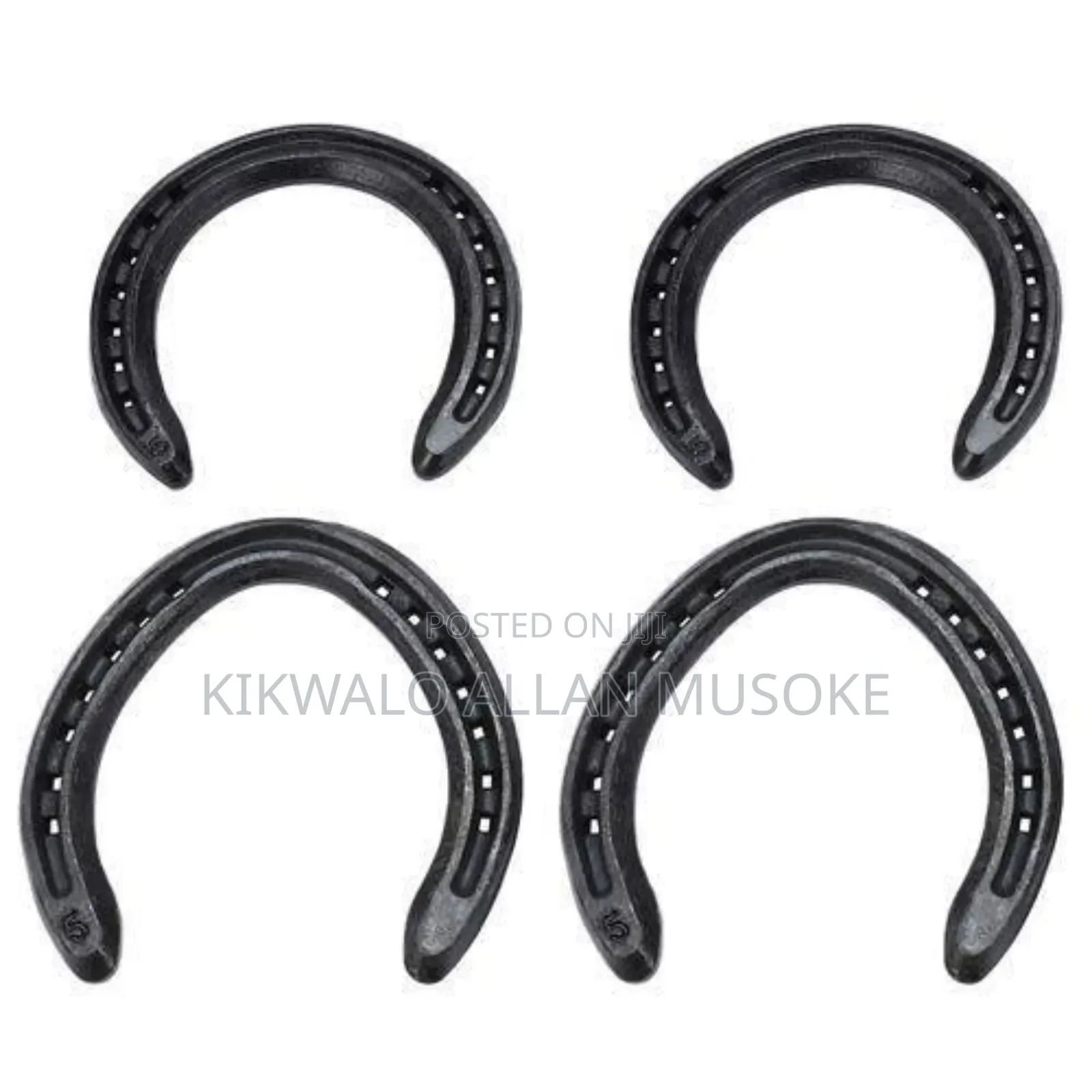 Equestrian Horse Gadgets