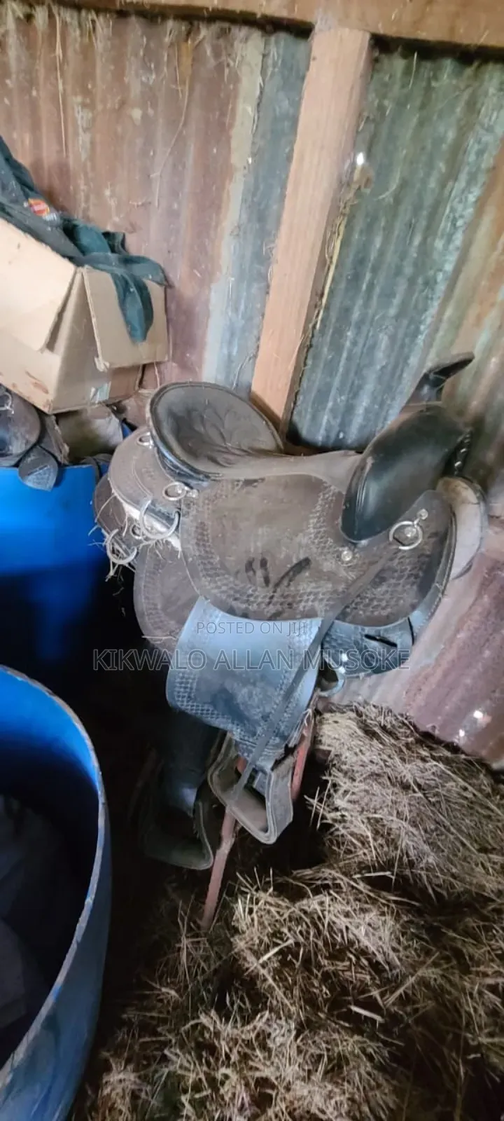 Equestrian Horse Gadgets