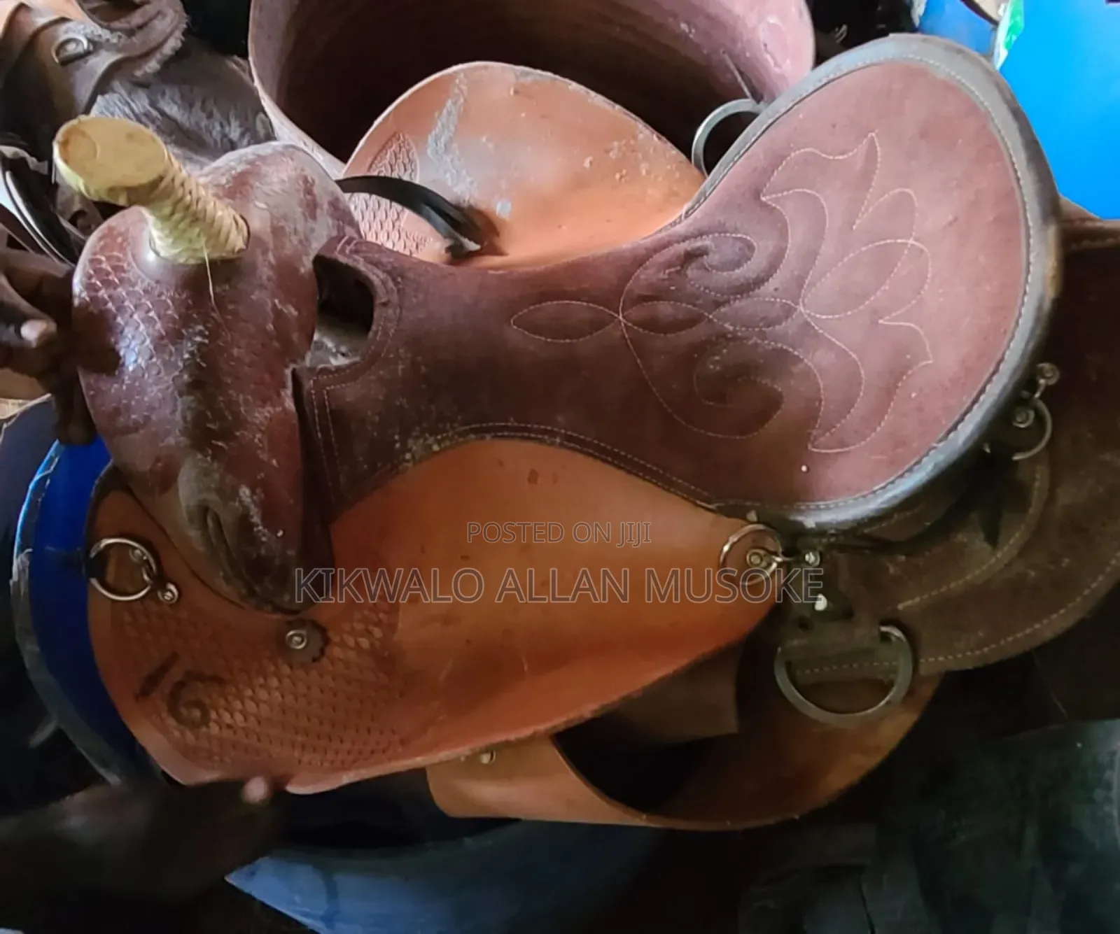 Equestrian Horse Gadgets