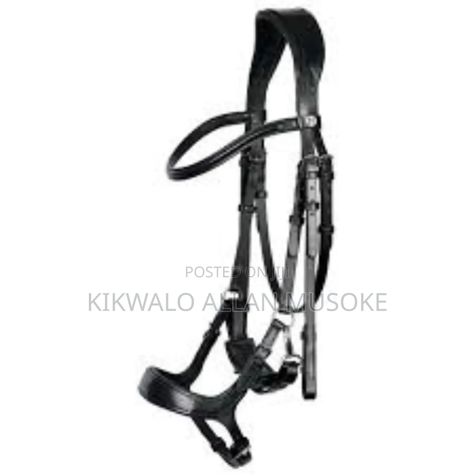 Equestrian Horse Gadgets