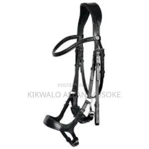 Equestrian Horse Gadgets