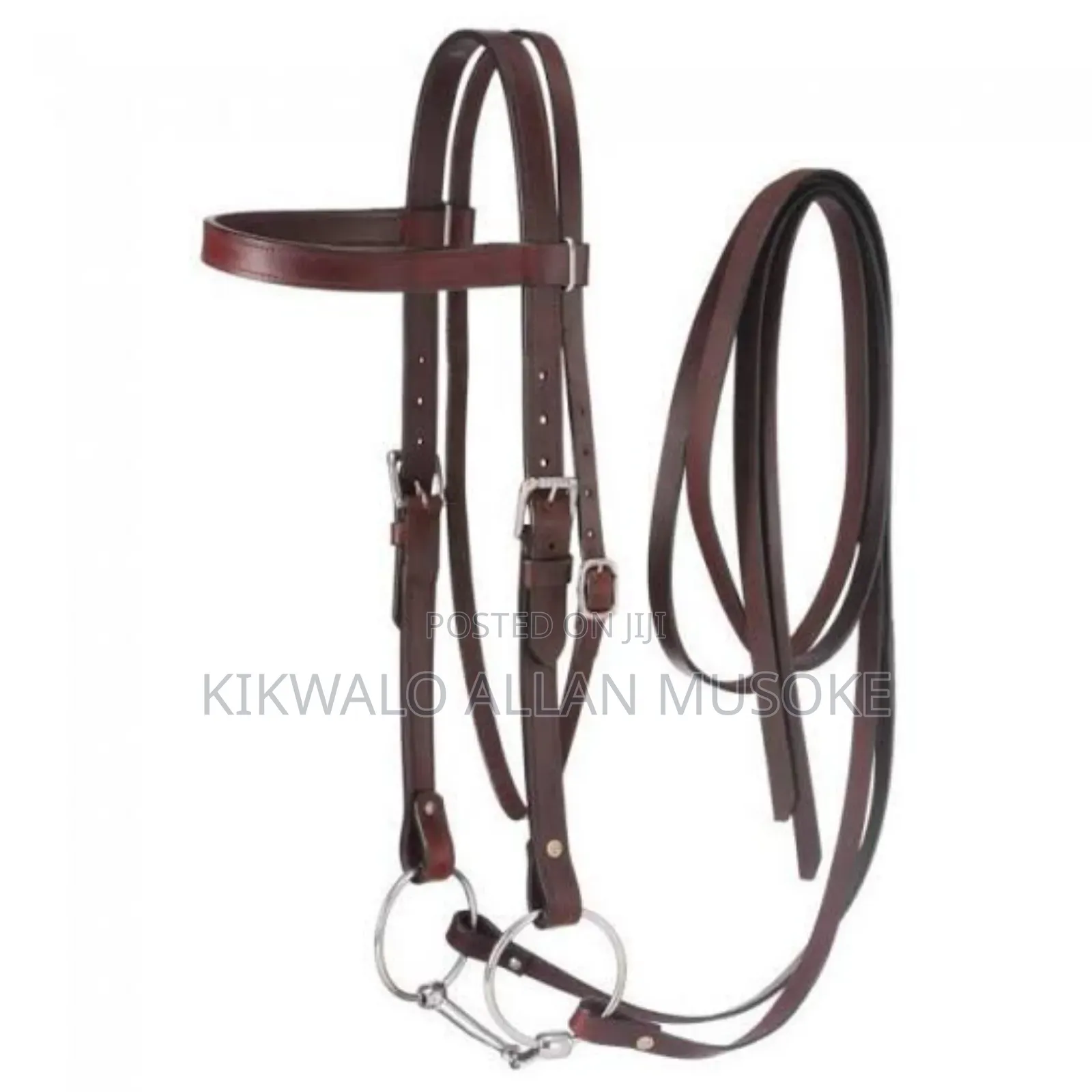 Equestrian Horse Gadgets