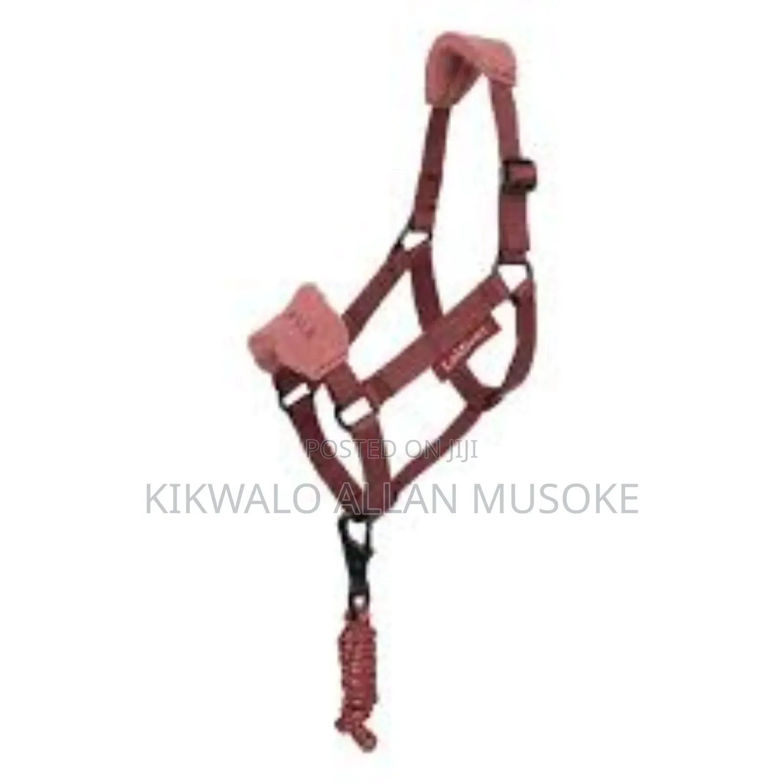 Equestrian Horse Gadgets