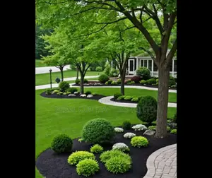 Landscaping and Gardening Works