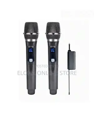 Professional Wireless Karaoke Microphone