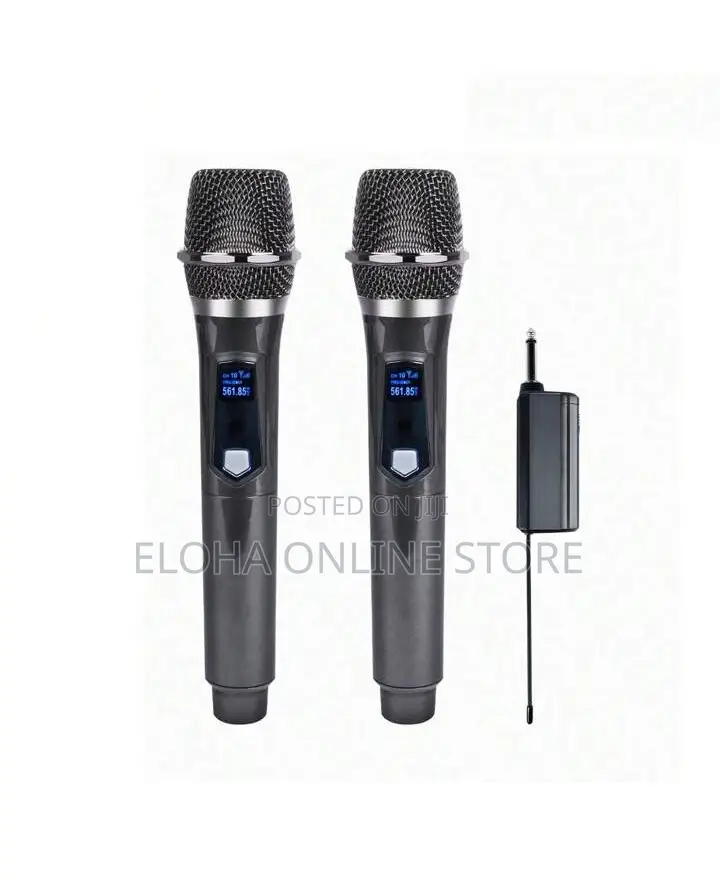 Professional Wireless Karaoke Microphone