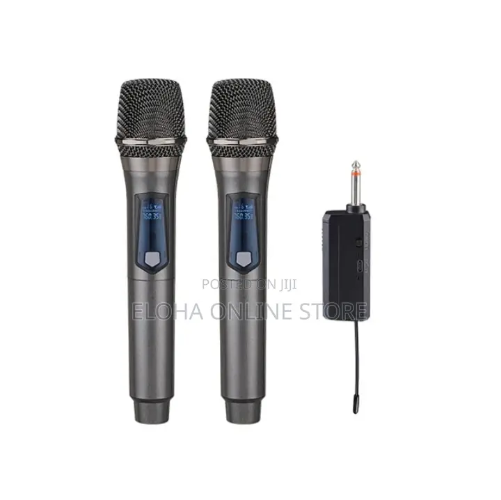 Professional Wireless Karaoke Microphone