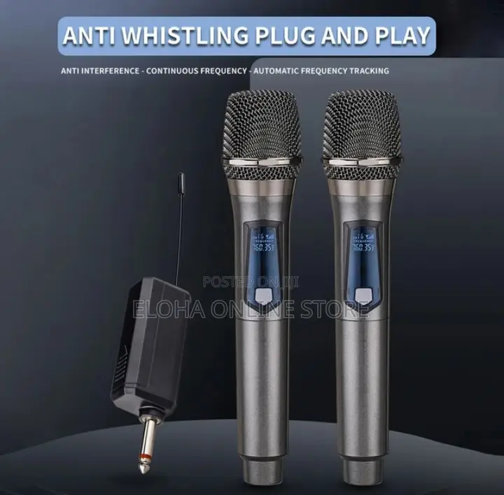 Professional Wireless Karaoke Microphone