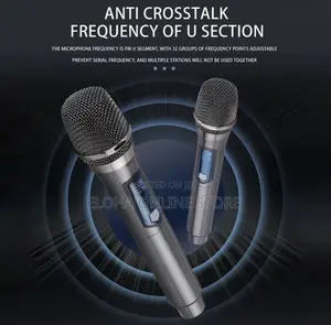Professional Wireless Karaoke Microphone