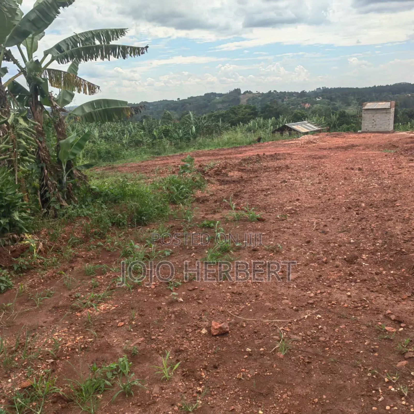 Gayaza Nakasajja Kyampisi Kasenene (50*100) Titled Land