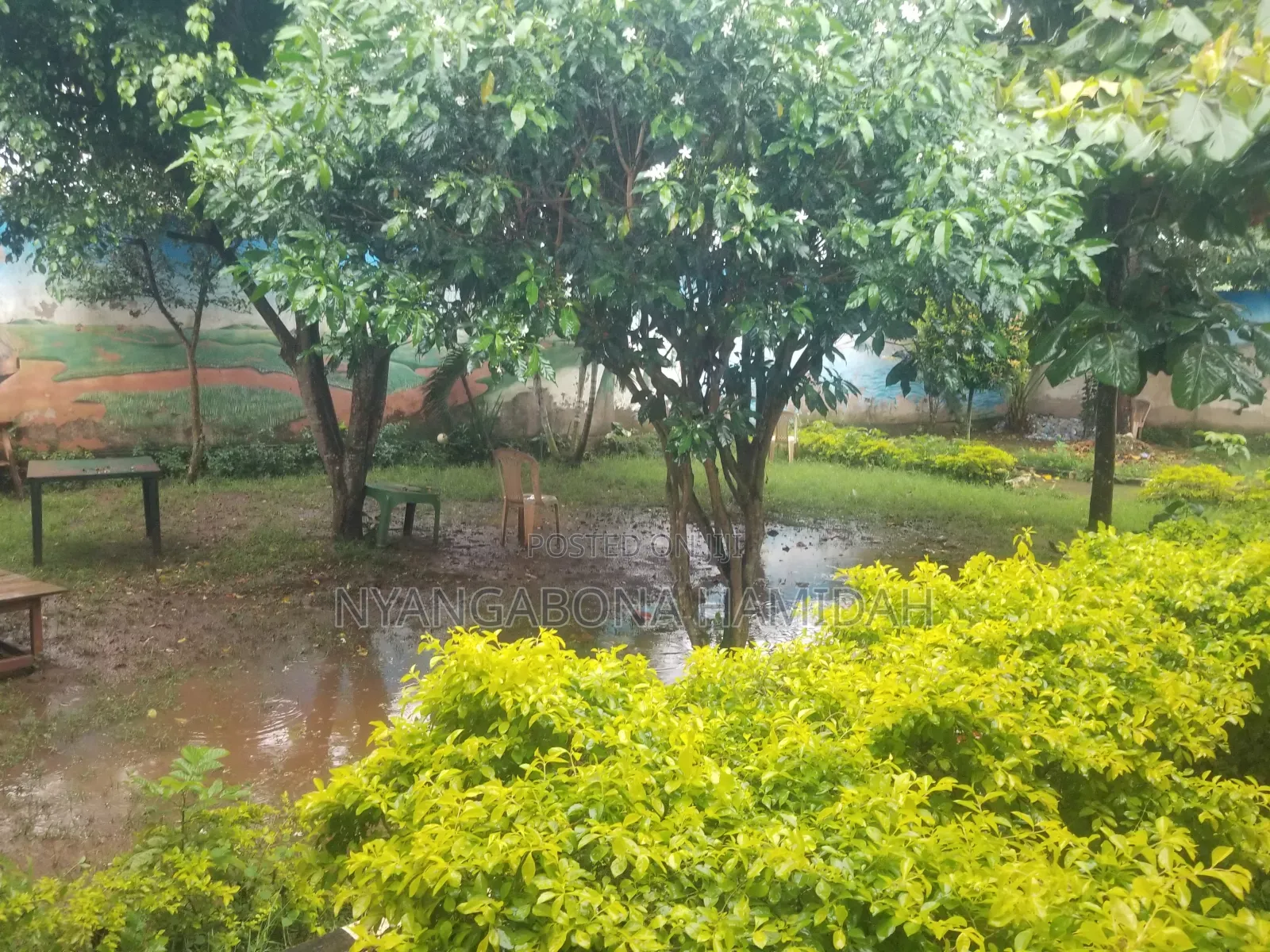 Furnished 20bdrm Townhouse/Terrace in Inland Property, Mukono TC