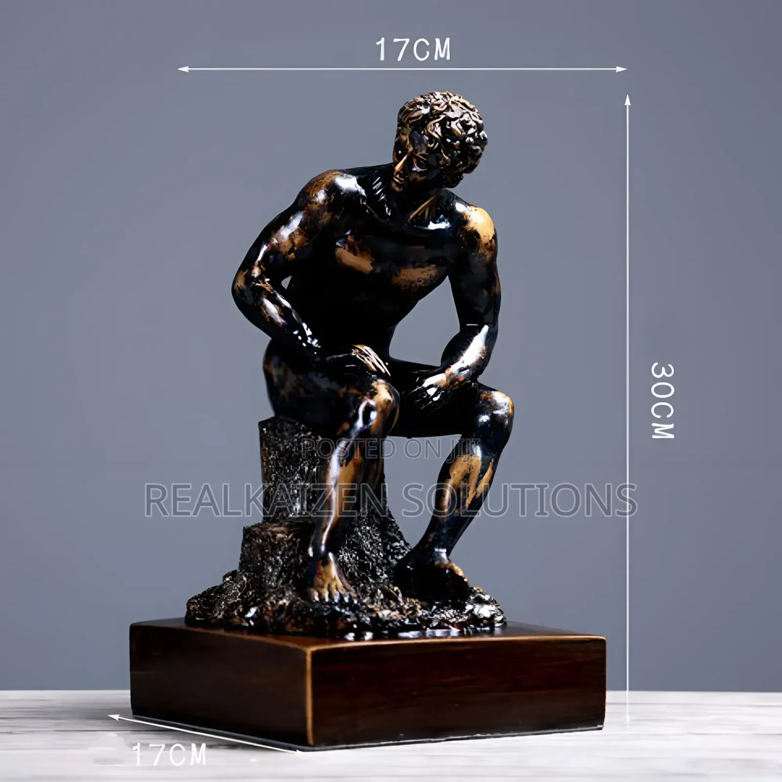Rodin Statue
The THINKER Meditator Greek Resin Sculpture