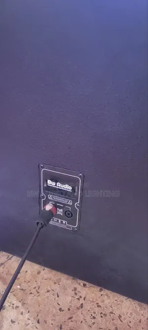 Subwoofer/ Bass Speaker