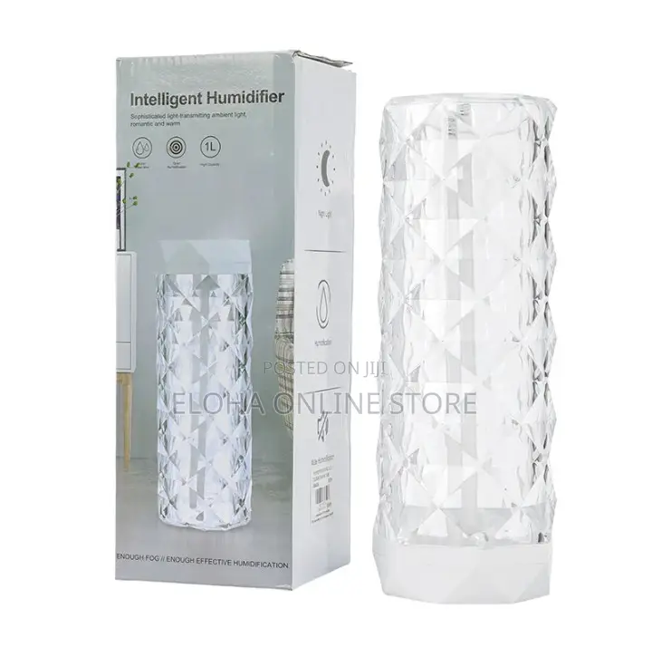 Portable Intelligent Air Humidifier With Multi Led Colours