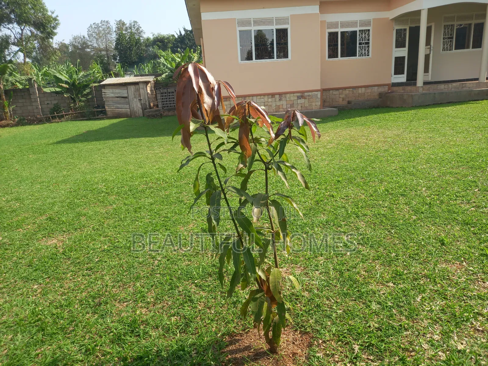 Furnished 3bdrm House in Kisaas, Nakawa for sale