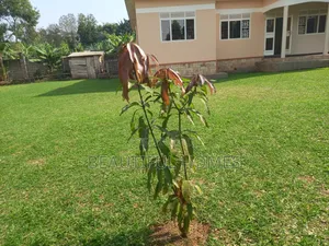 Furnished 3bdrm House in Kisaas, Nakawa for sale
