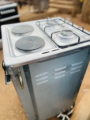 Stainless Electric and Gas Cooker