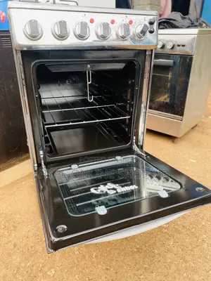 Stainless Electric and Gas Cooker