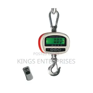 Digital Crane Scale