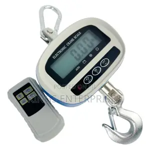 Digital Crane Scale