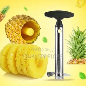 Pineapple Cutter