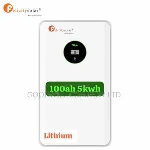 100ah Felicity Lithium Battery 48v 5kwh DND