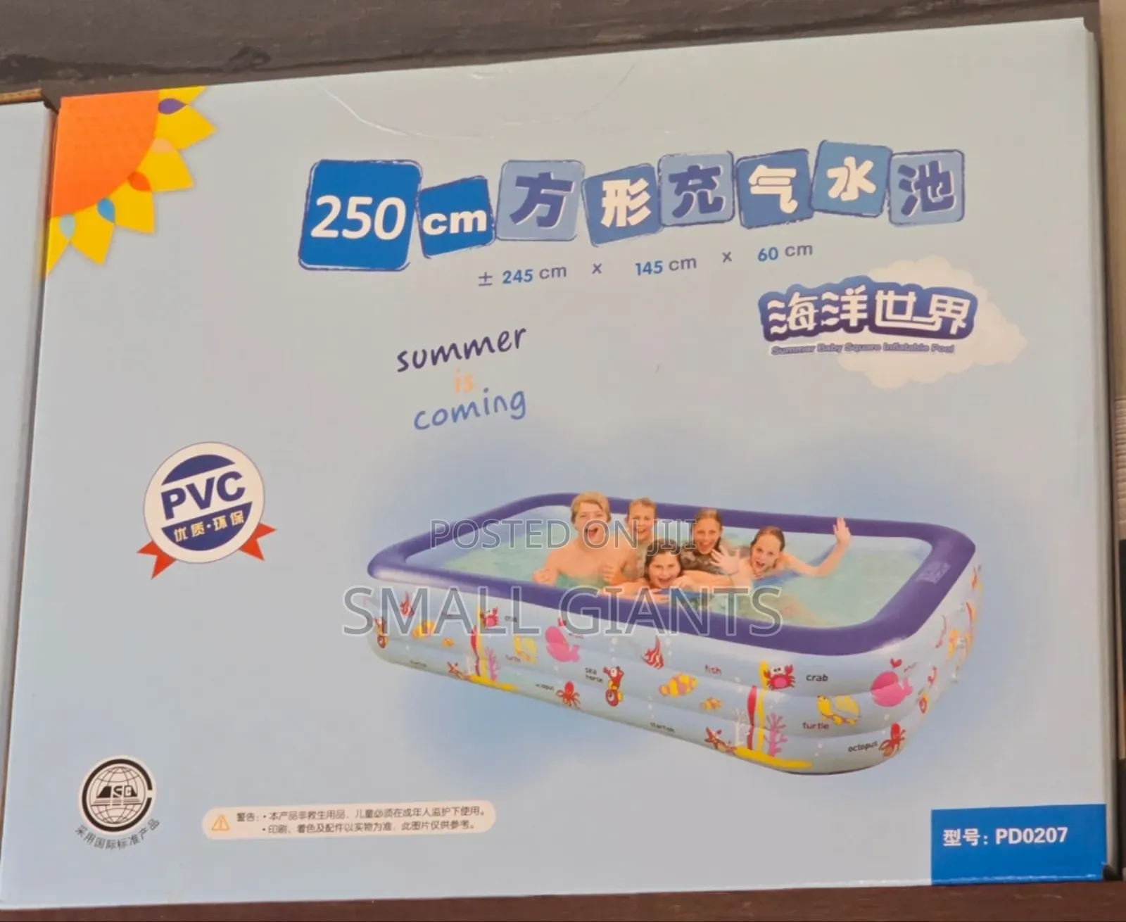 250cm PVC Family Swimming Pool