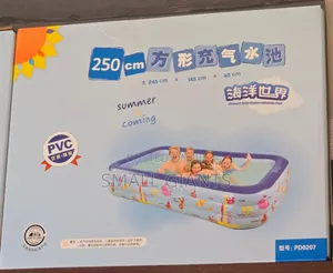 250cm PVC Family Swimming Pool