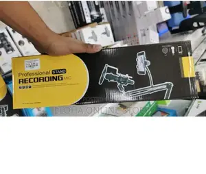 Professional Stand Recording Mic L